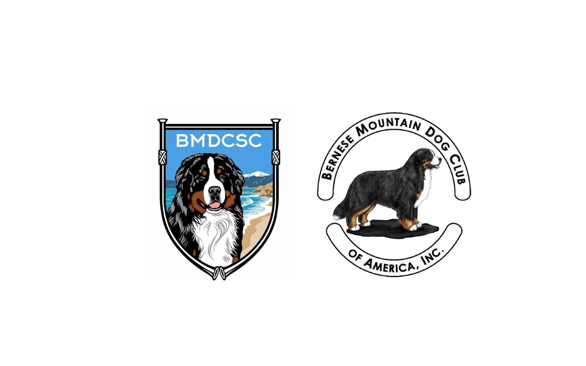 Bernese Mountain Dog Club of America Regional Specialties