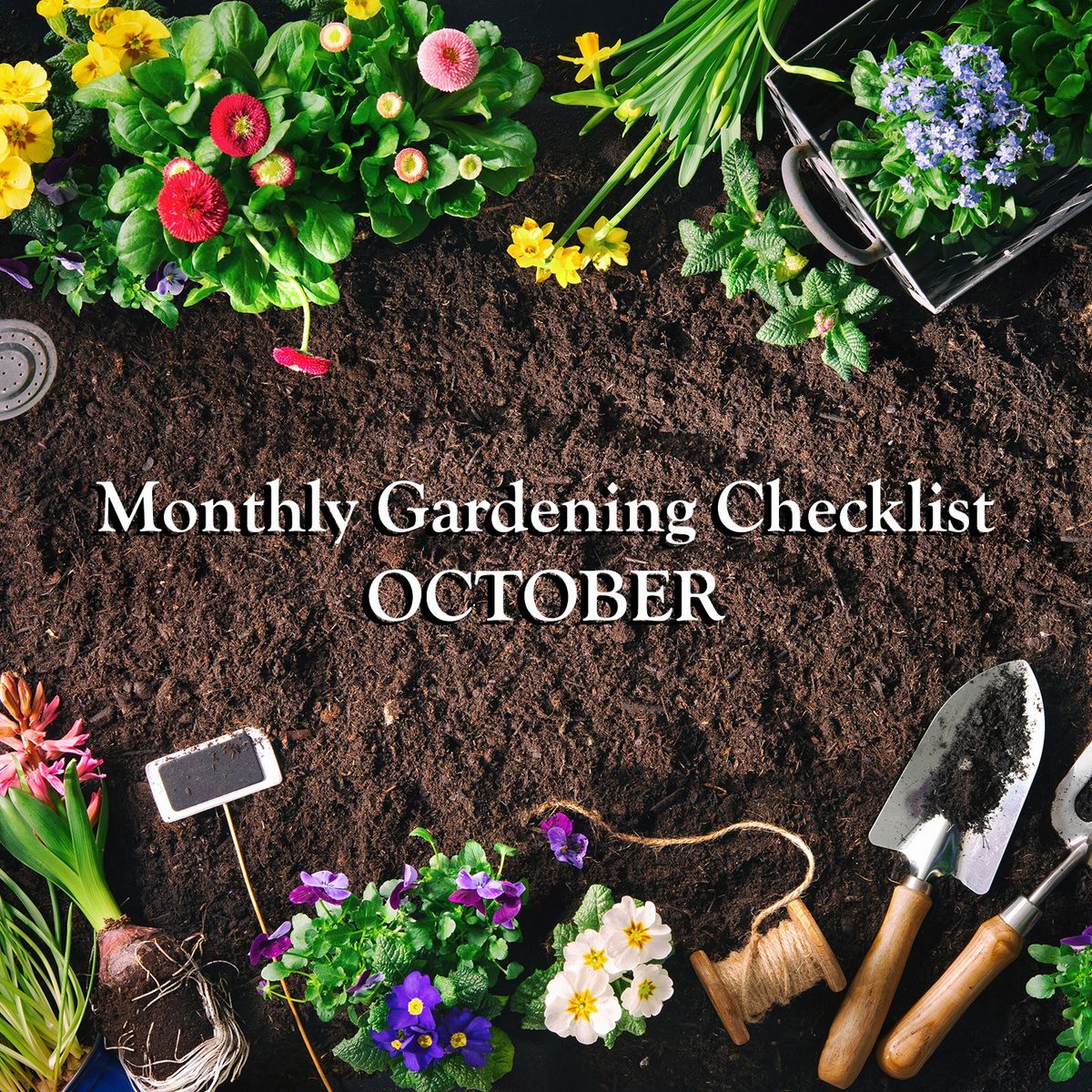 LIVE STREAM: Monthly Gardening Checklist for October with David