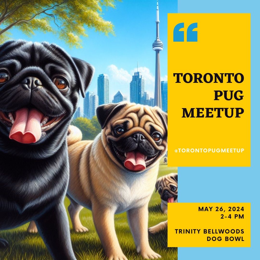 May 2024 Toronto Pug Meetup