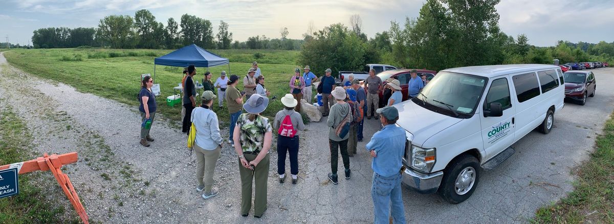 Little Creve Coeur Ecology Area - Brush and Invasive Species Removal