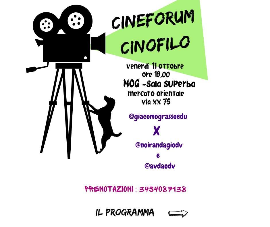 CINEFORUM CINOFILO - @giacomograsso per @noirandagiodv e @avda odv 