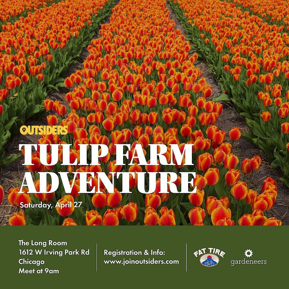 Tulip Farm Adventure