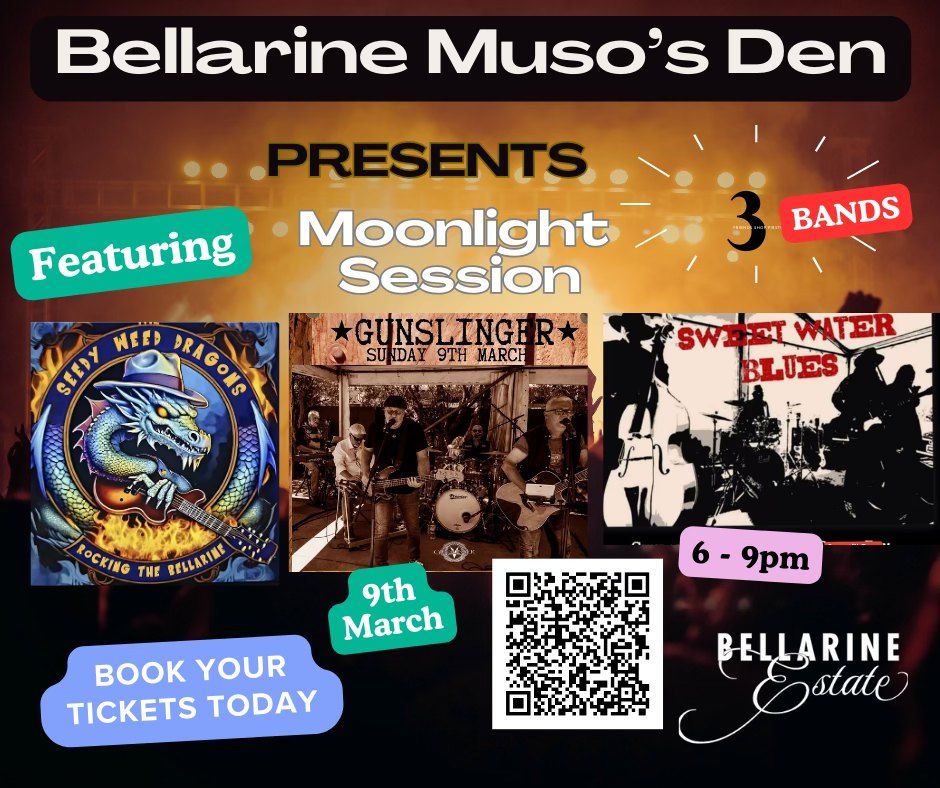 Moonlight Sessions \u2013 A Night of Live Music Under the Stars!