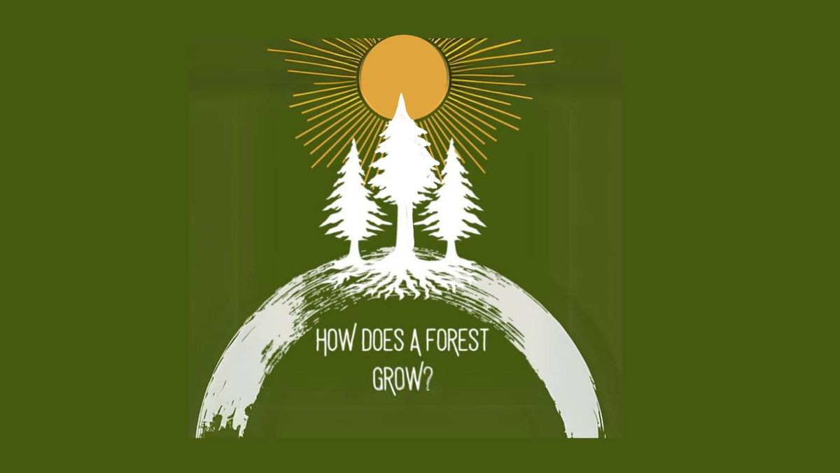 Art Week Presentation: How Does a Forest Grow?
