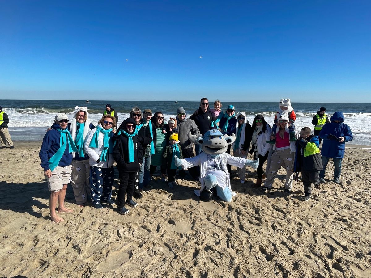 Lewes Polar Bear Plunge