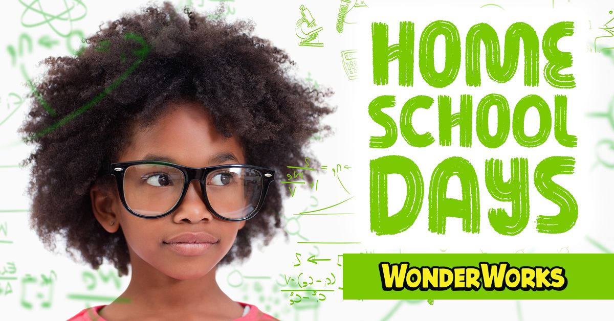 Homeschool Days at WonderWorks Myrtle Beach \ud83d\udcda