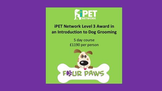 Introduction to Dog Grooming Course