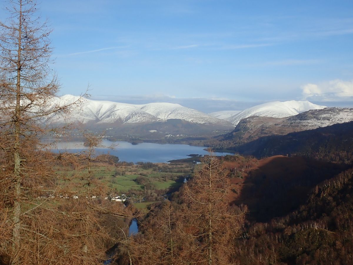 Castle Crag, Borrowdale Woods and Caves - Guided Walk