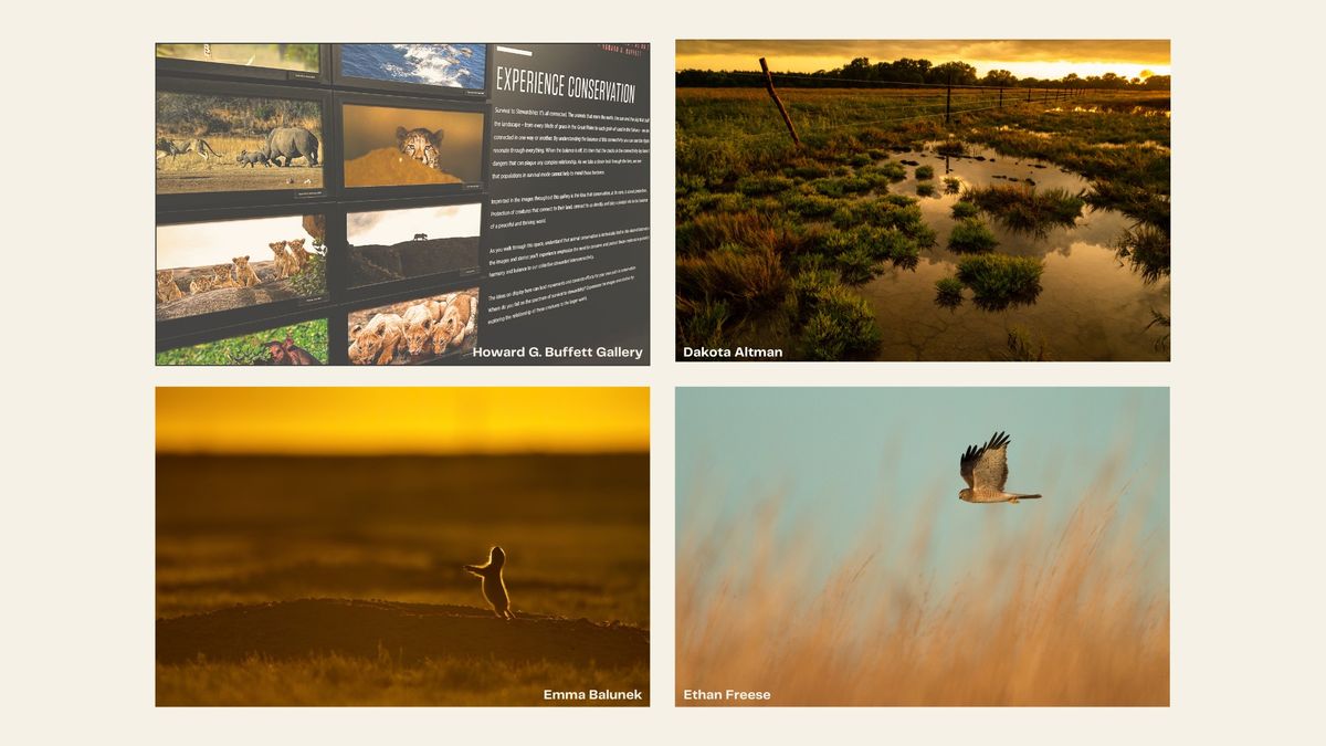 Conservation Photography: Witnessing Water & Wildlife 