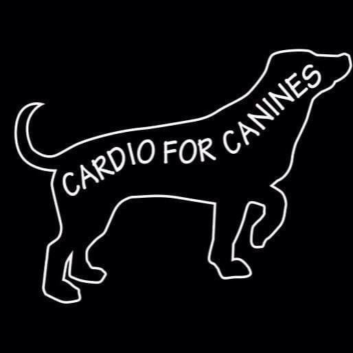 SITT Cardio for Canines