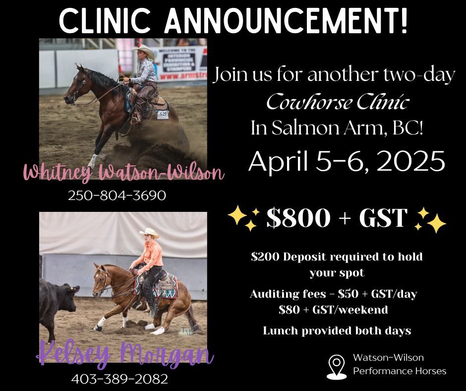 Spring Cowhorse Clinic!