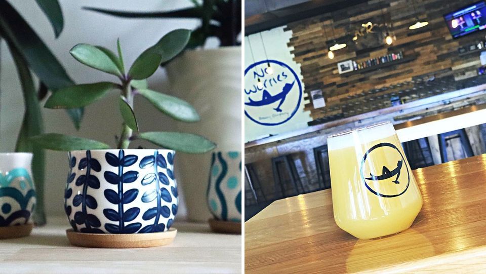 Summer Planter Paint & Sip, no worries brewing co., Hamden, 17 July 2022