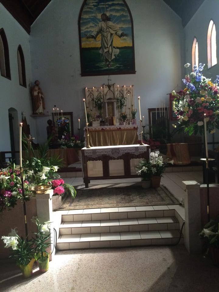 Blessing of Animals at St. Peter's