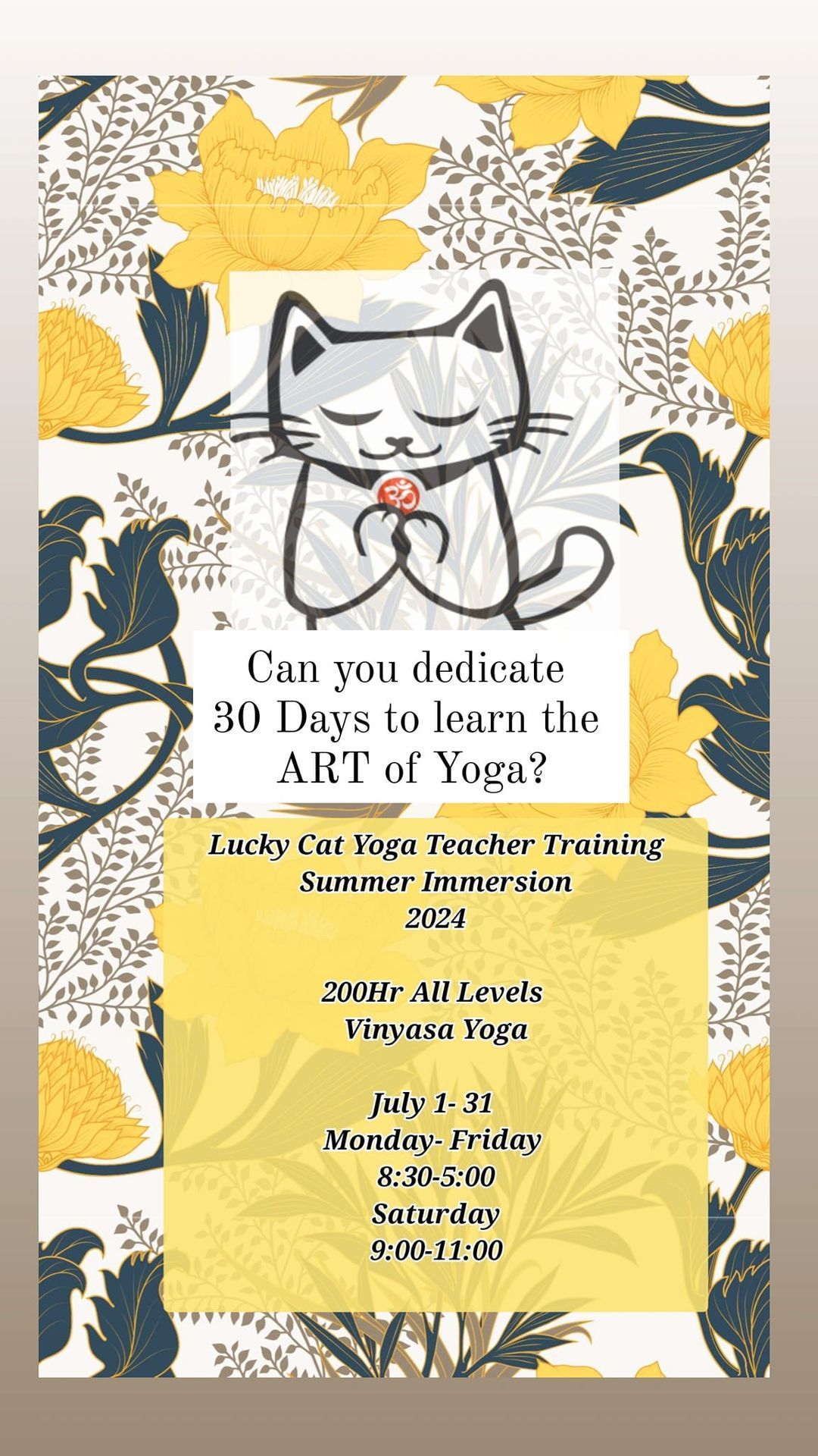 200hr All Levels Vinyasa Yoga Teacher Training: 30 Day Summer Intensive at Lucky Cat Yoga 