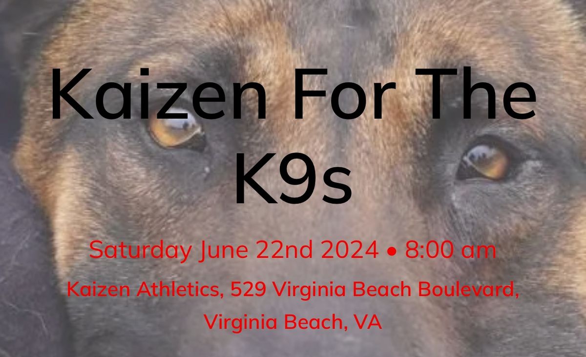 Kaizen For The K9s