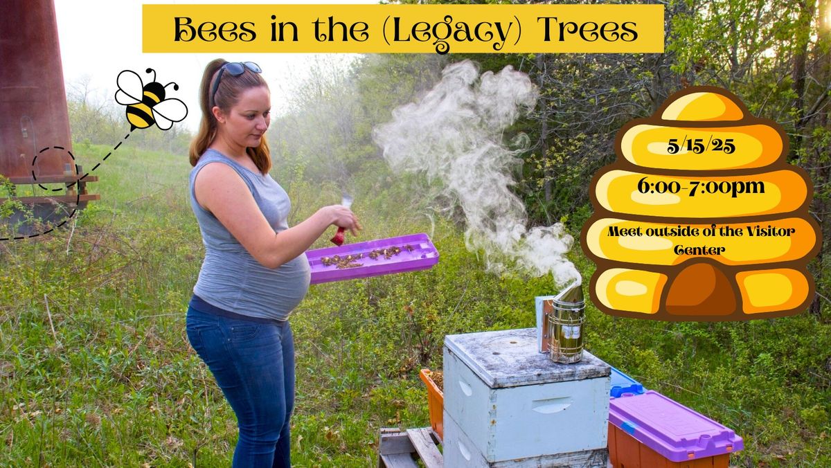 EDUCATIONAL SESSION: Bees in the (Legacy) Trees