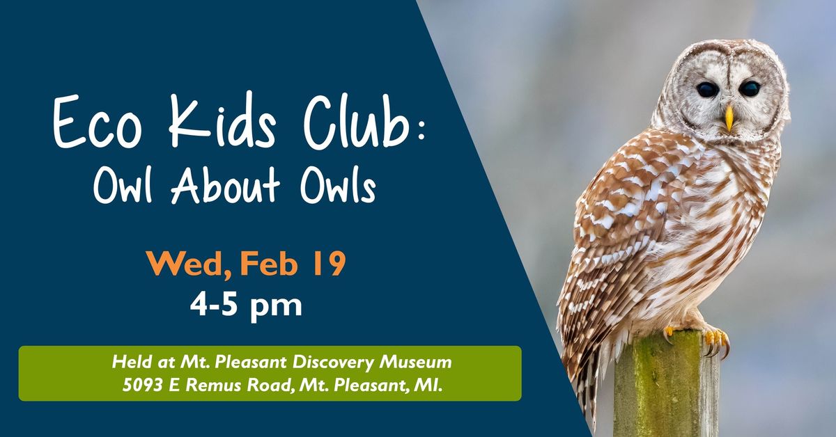 Eco Kids Club: Owl About Owls