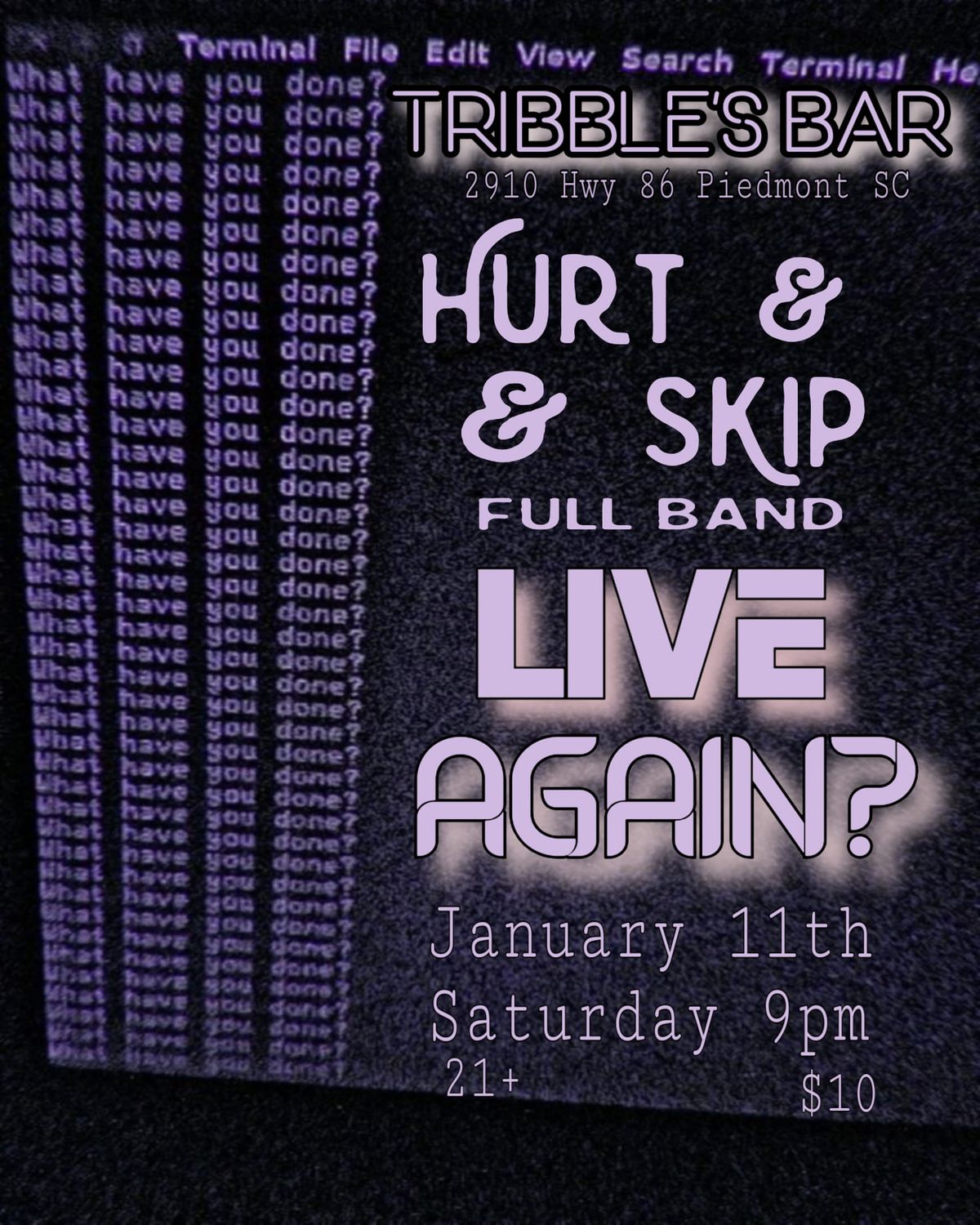 Hurt & Skip Live album Vol 2 (Full Band Show)  wsg Tim Lee @Tribble's Bar Piedmont 1-11-25