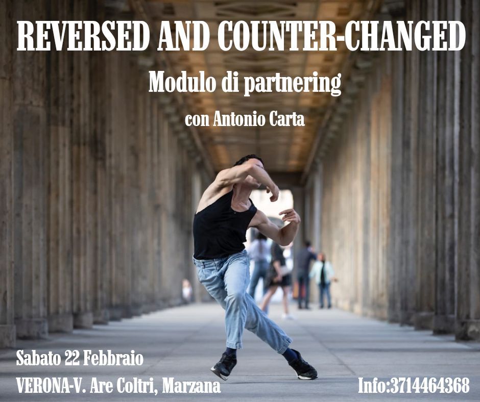 REVERSED AND COUNTER-CHANGED-Modulo Partnering 