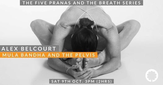 Mula Bandha and the Pelvis with Alex Belcourt