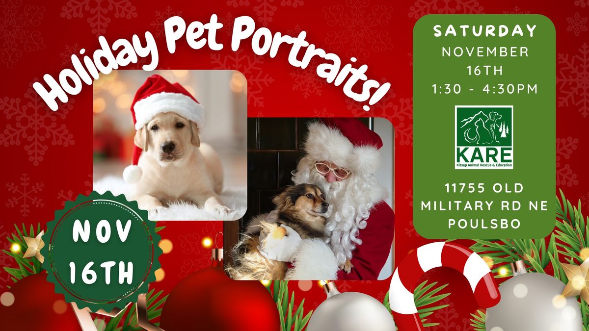 Holiday Pet Portraits