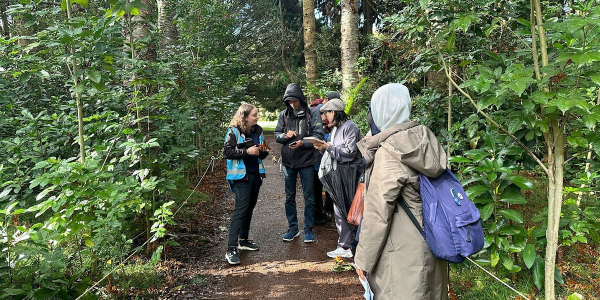 Guided Walk: Ecology Identification