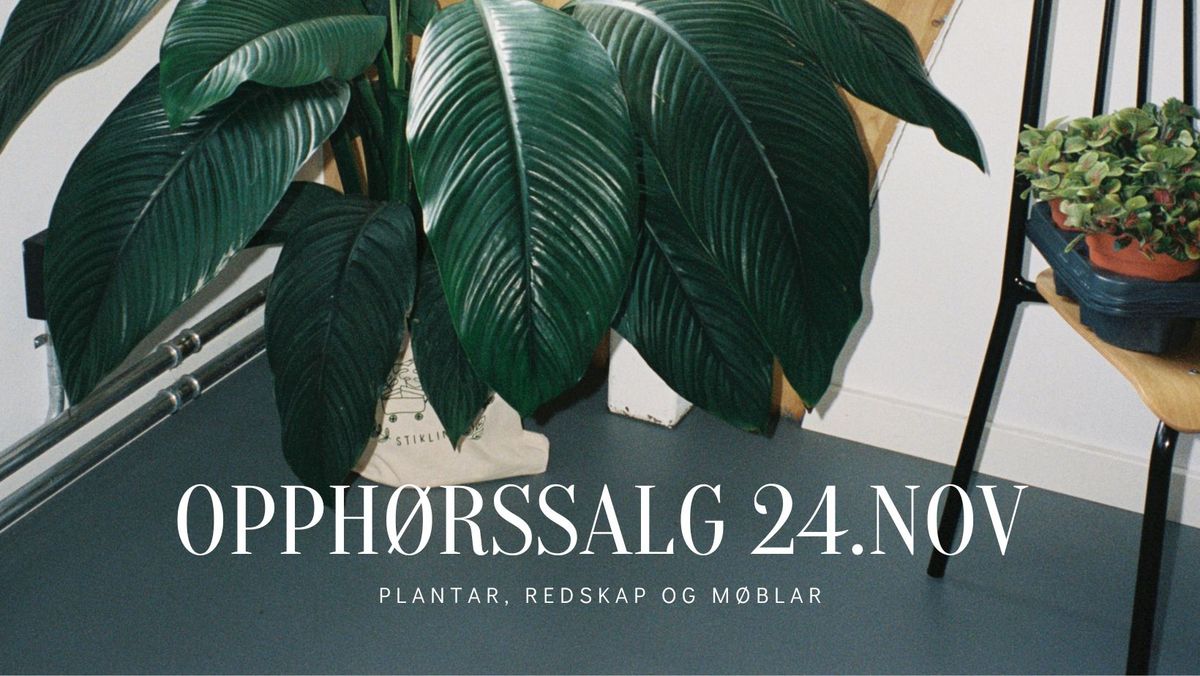 opph\u00f8rssalg: plantar, redskap og m\u00f8blar! 