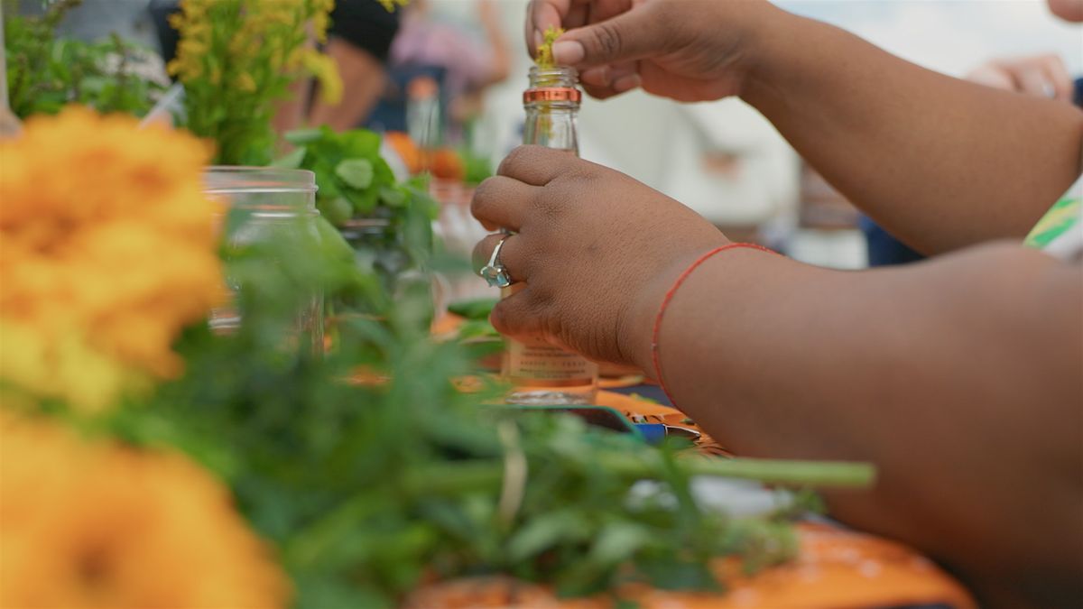 Things In Jars: Tinctures (Pt 2)