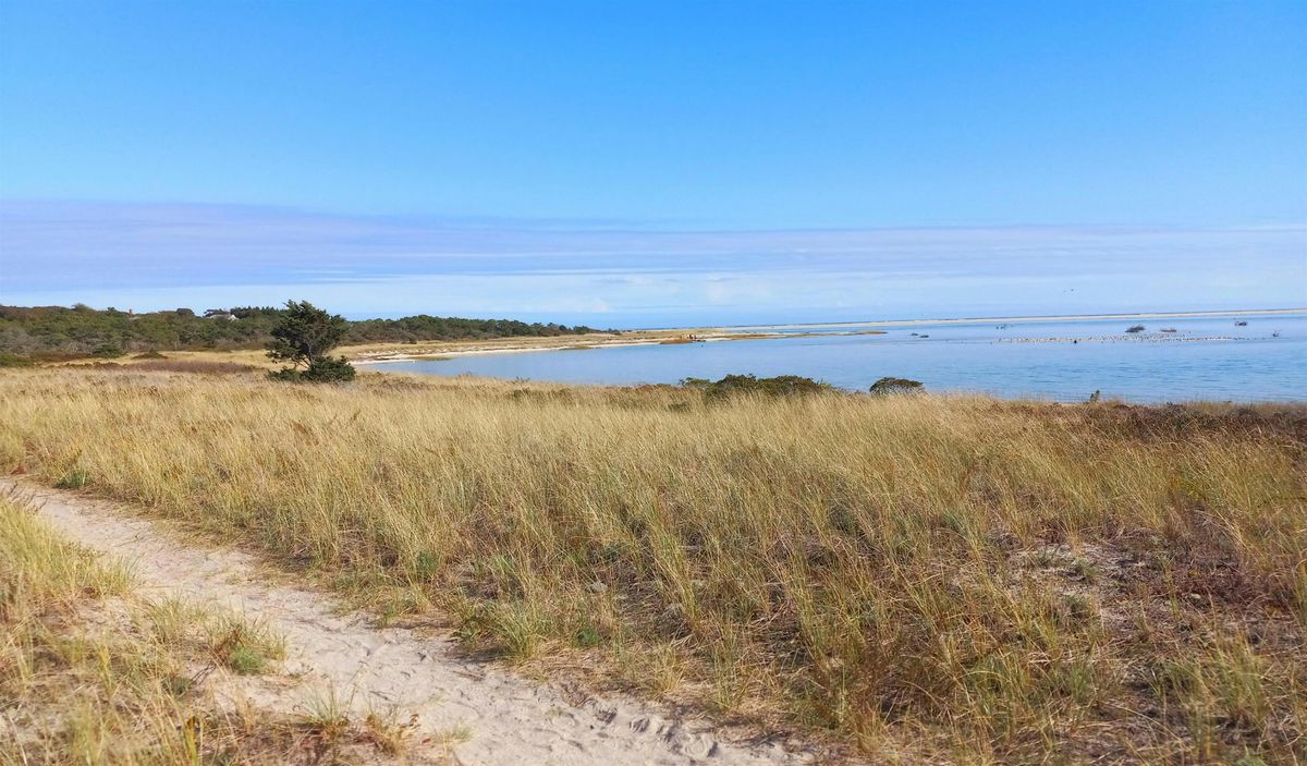 Winter Solstice Walk: Morris Island with Fi Lowry