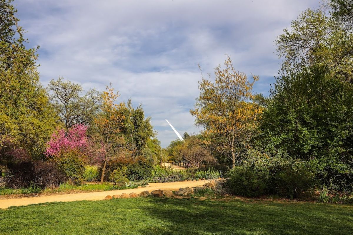 Guided Garden Walk 