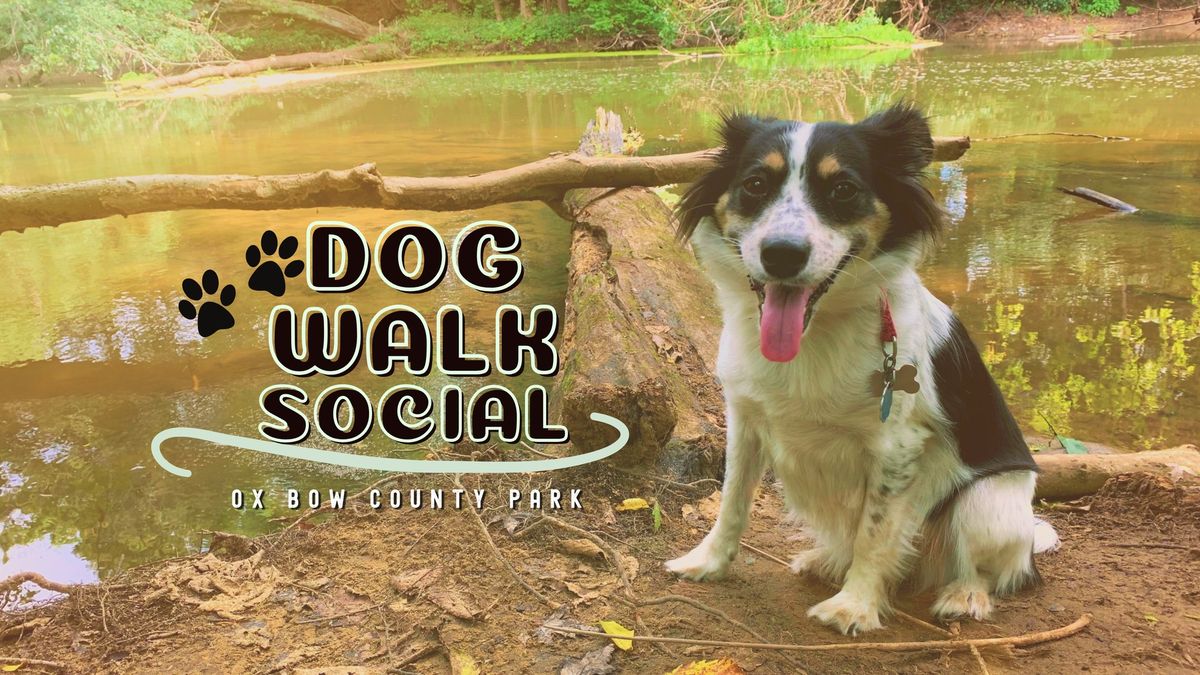 Dog Walk Social