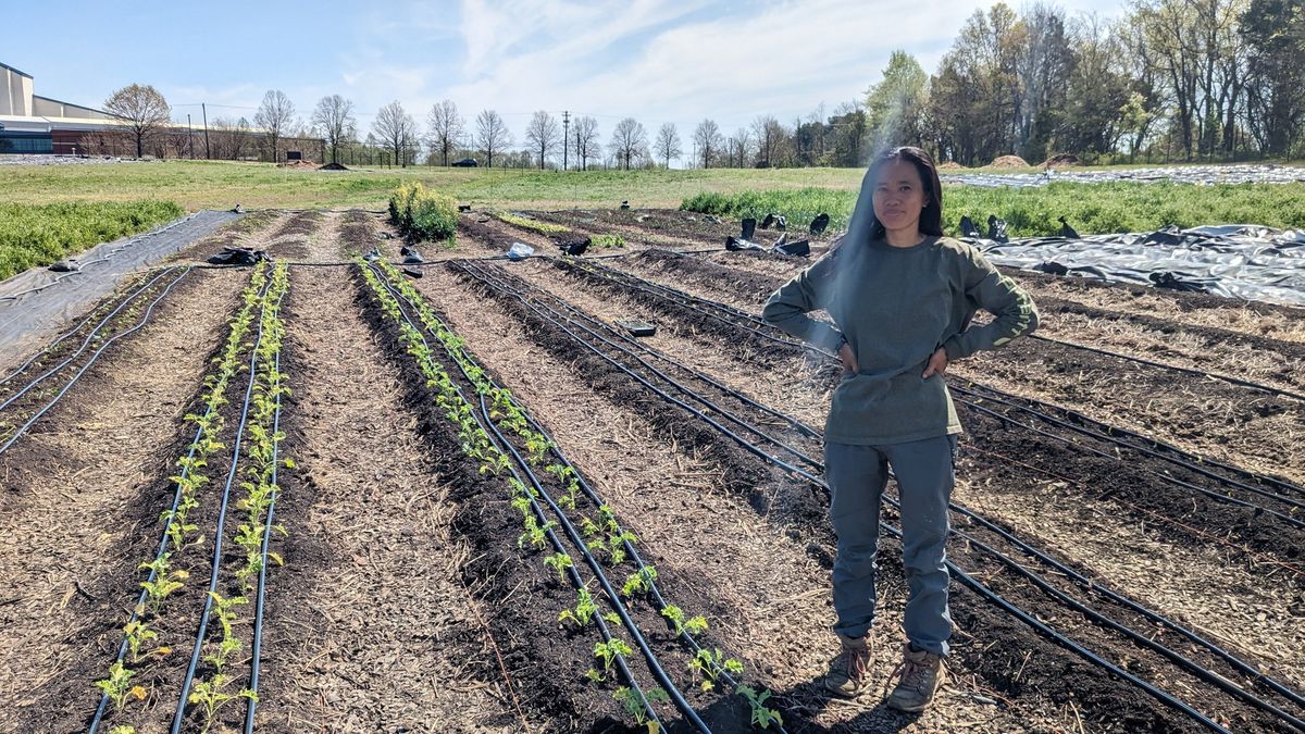 Healthy Soils Field Day on ECO City Farms Urban Farm Incubator with Love Bug Farm