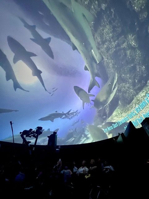 Adelaide Planetarium 360\u00b0 MEGAfauna of the Great Southern Reef Experience - 16 & 18 January