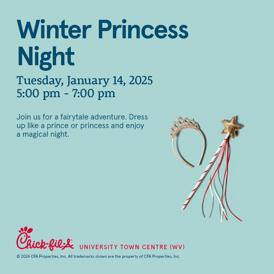 Winter Princess Night