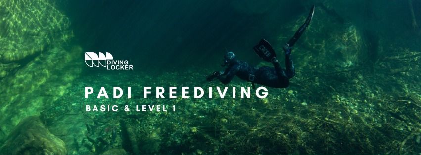 PADI Freediving Basic & Level 1 Weekend