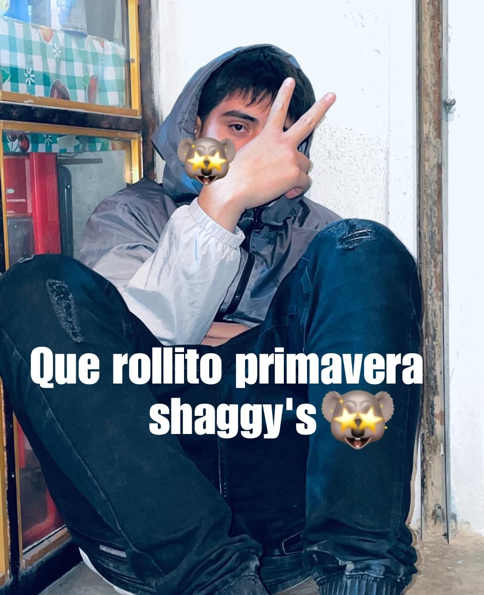 Que rollito primavera Shaggy's