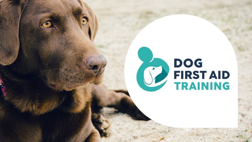 Dog First Aid Course - Packington - \u00a365