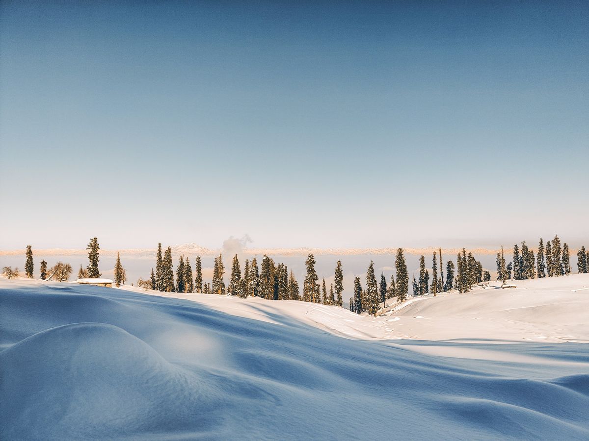 Winter Nature & Woodland