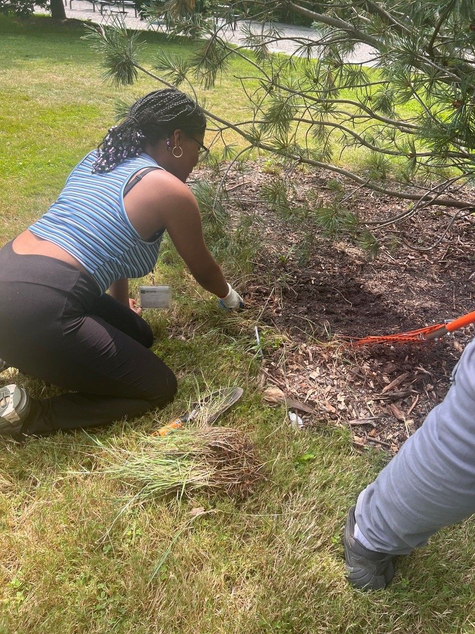 Tree Mulching Workshop