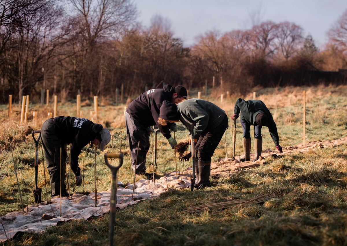 Volunteer Tree Planting - Pucklechurch Wood