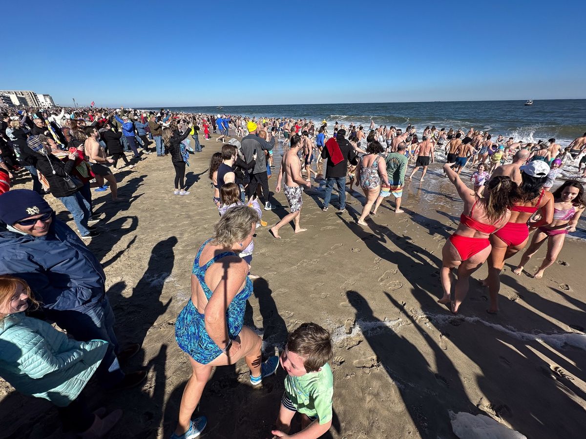 Lewes Polar Bear Plunge Weekend Benefiting Special Olympics Delaware