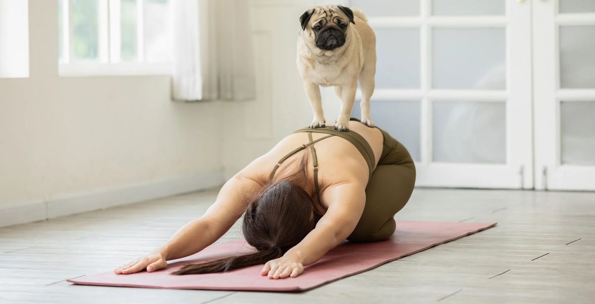 Puppy Yoga! 