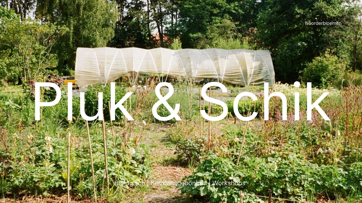 Pluk & Schik middag