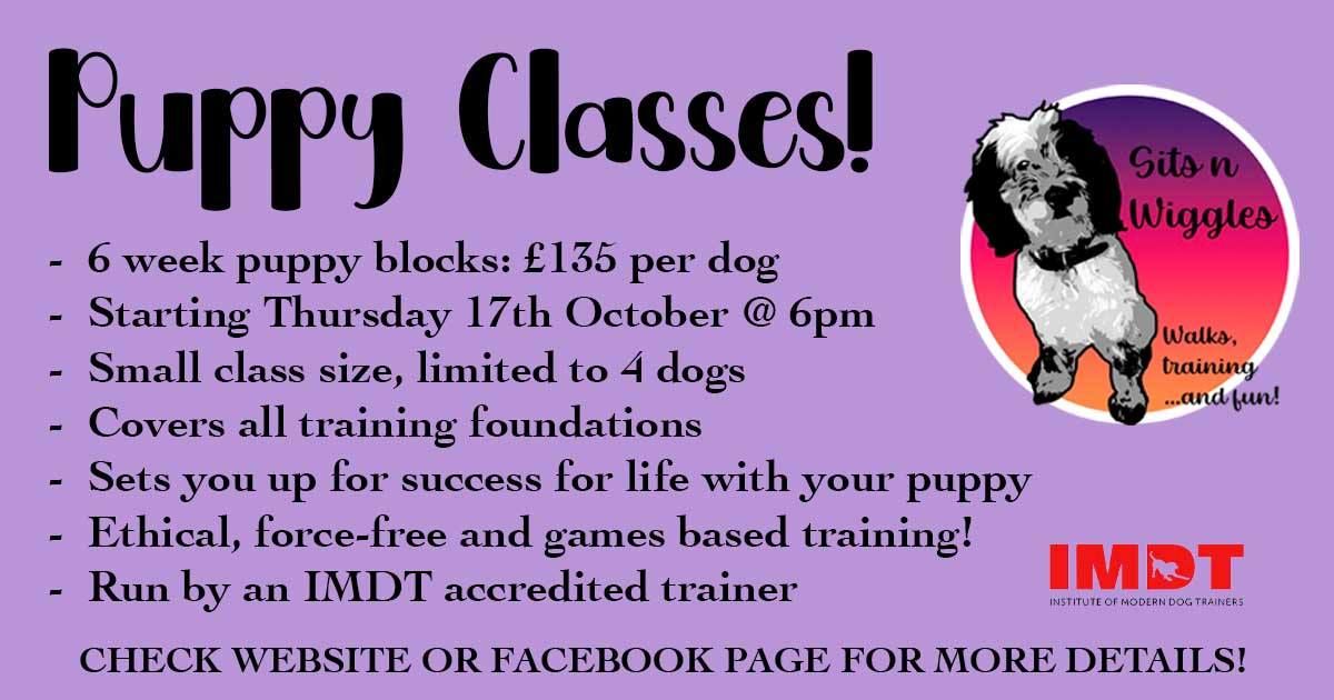 Puppy Classes!