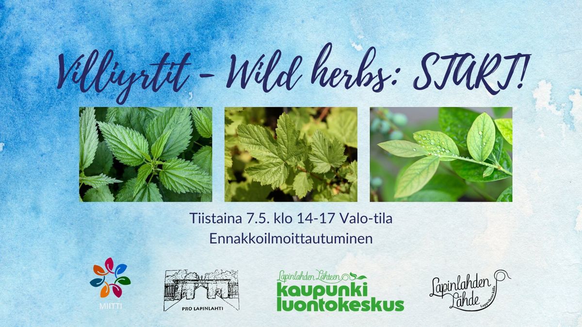 Villiyrtit - Wild herbs: START!