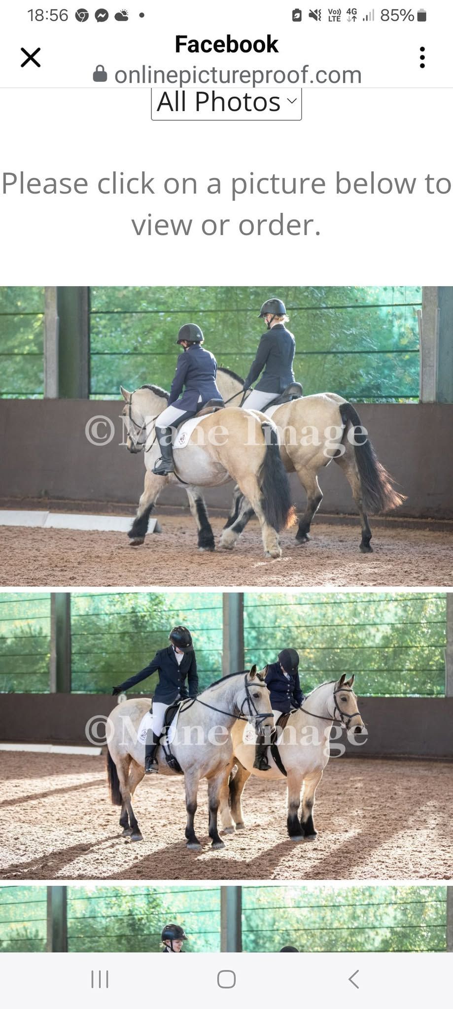 TRC Members Dressage Training Day