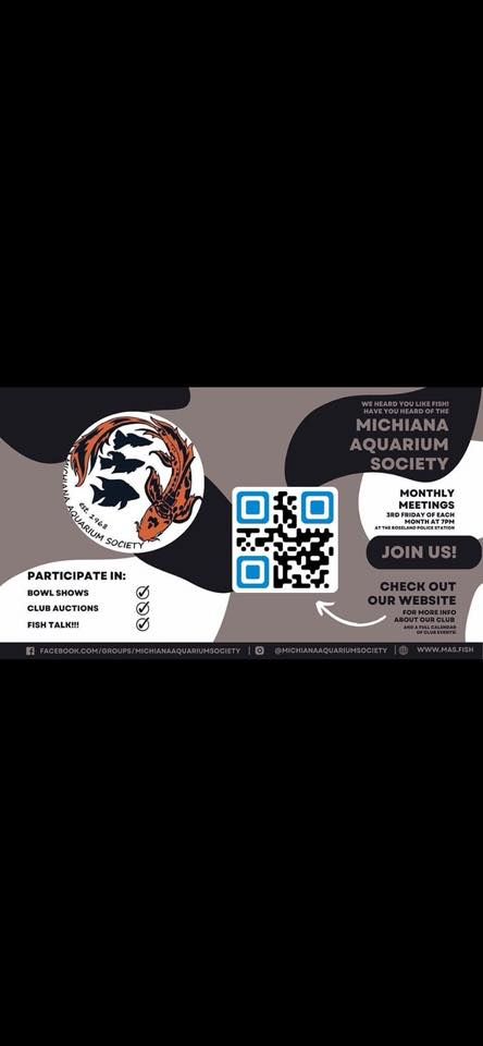 Michiana Aquarium Society fall auction 