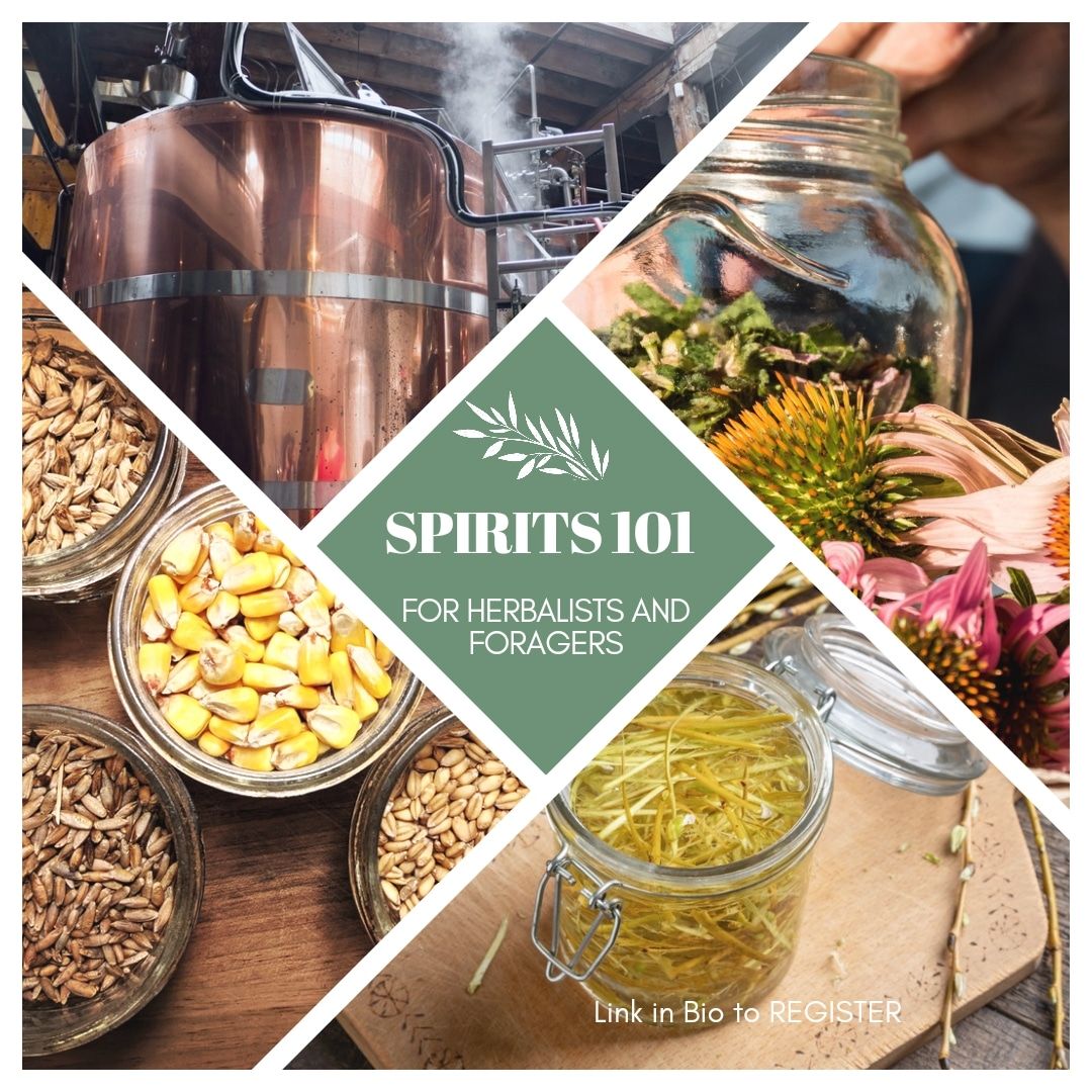 Spirits 101 for Herbalists and Foragers