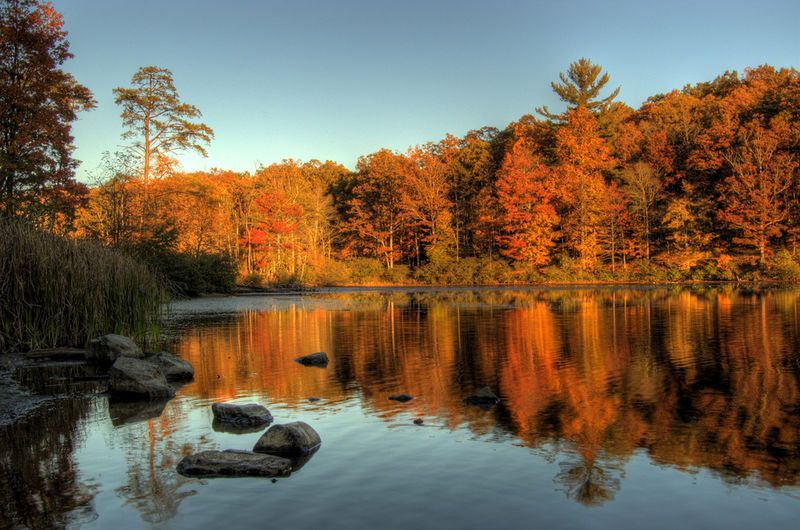 Hike Pandapas Pond