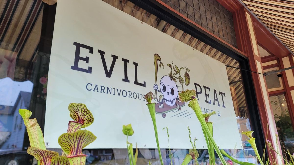 Carnivorous Plant Sale with Evil Peat!
